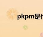 pkpm是什么格式 pkpm是什么 